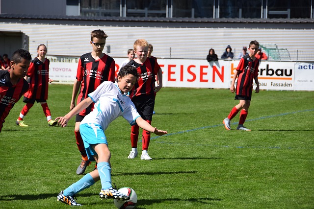 会的带动脱 会的带动脱