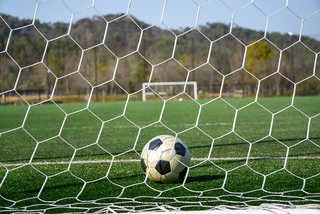 到来的赛季 到来的赛季