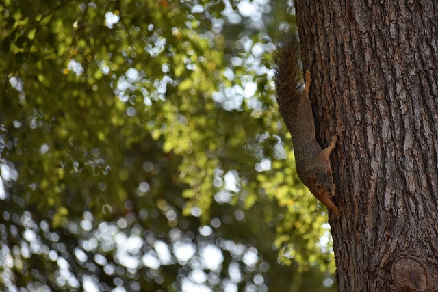 通过分析其 通过分析其