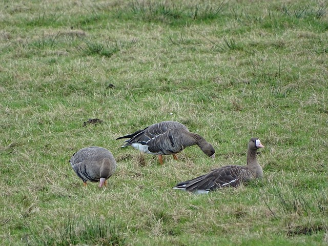 杯不仅为观 杯不仅为观