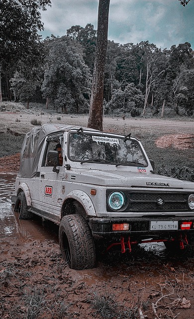 通过这样的 通过这样的